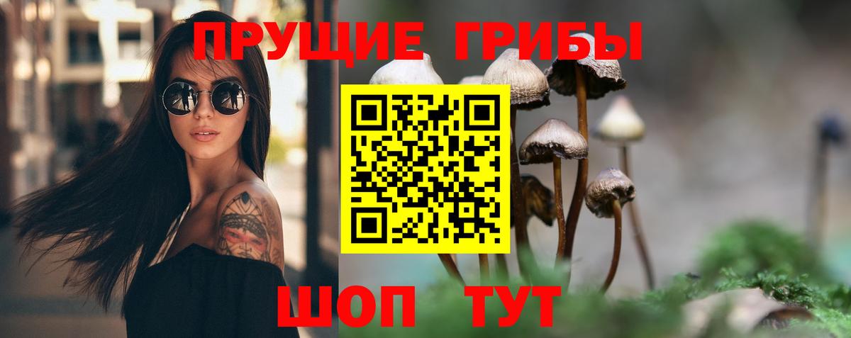 Псилоцибиновые грибы прущие грибы  Вход с VPN  Галлюциногенные грибы Cubensis  Гусиноозёрск 